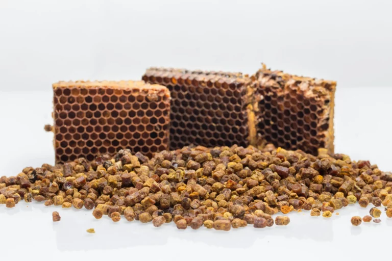 Bee Bread: The Antioxidant-Rich, Energy-Boosting Superfood of the Beehive