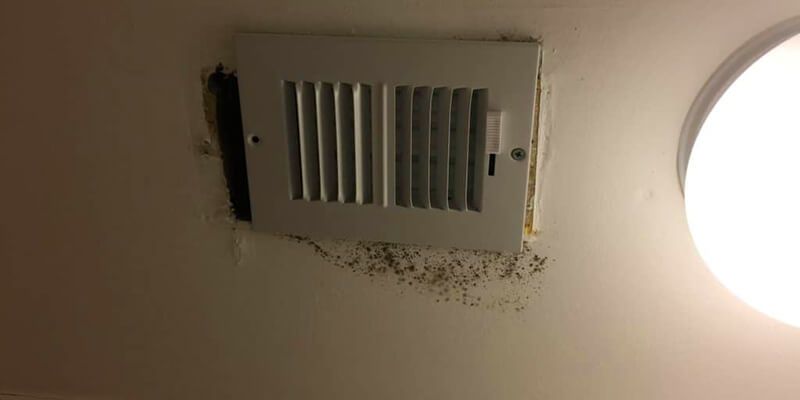 Black Mold in Air Vents America Air Duct 1