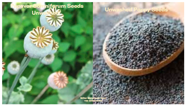 Papaver Somniferum Seeds Unwashed: Unlocking the Secrets of Unwashed Poppy Seeds