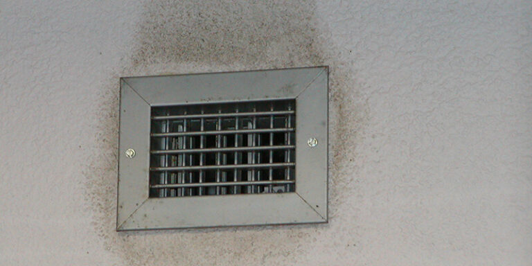 The Silent Threat: Black Mold in Air Vents