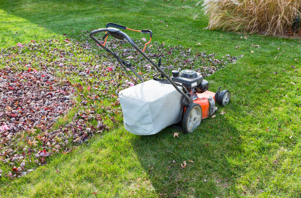 5 Essential Lawn Mowing Tips for Your Yard During the Fall