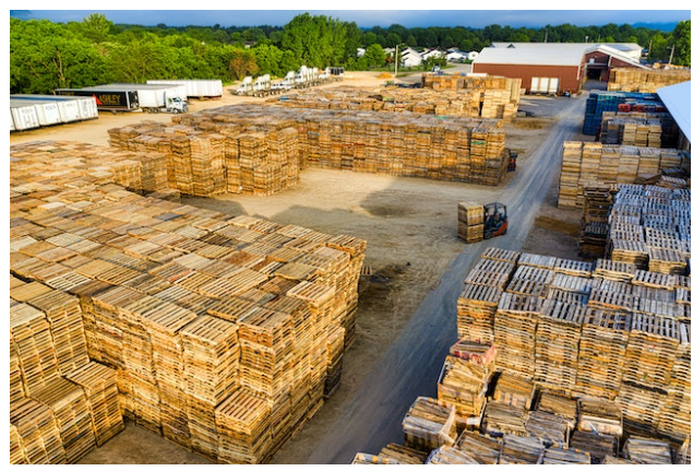 Should I Buy New or Recycled Pallets?