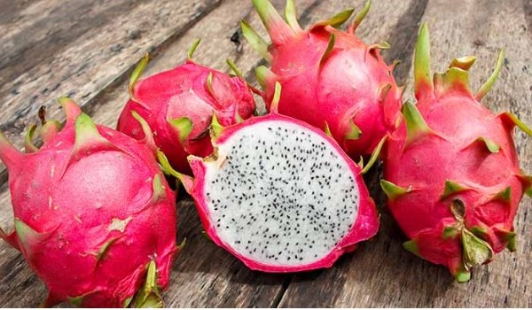 pitahaya