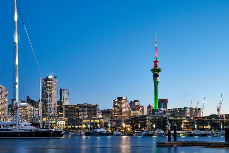 New Zealand Defies Tech Investment Crunch Thanks to its Exemplary Business Environment