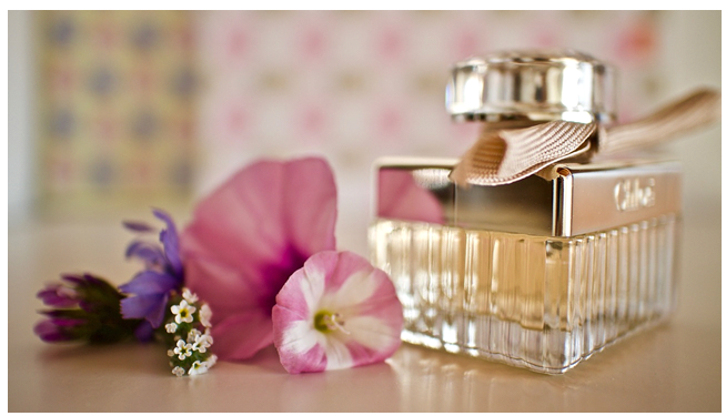 Fragrance vs Essential Oil: Which is Better?