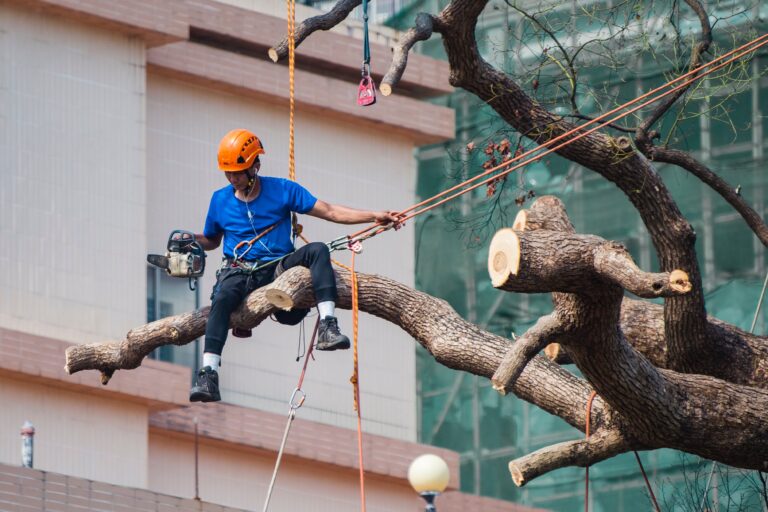 Green Thumbs and Insurance: Tree Trimming Insurance Insights