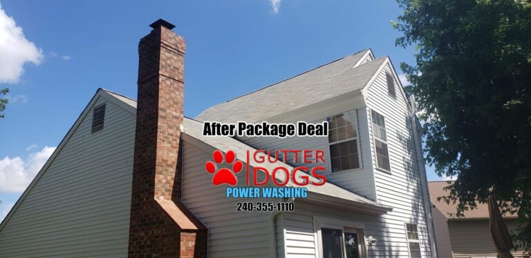 Unveiling the Beauty and Benefits of Power Washing Services in Clinton, MD