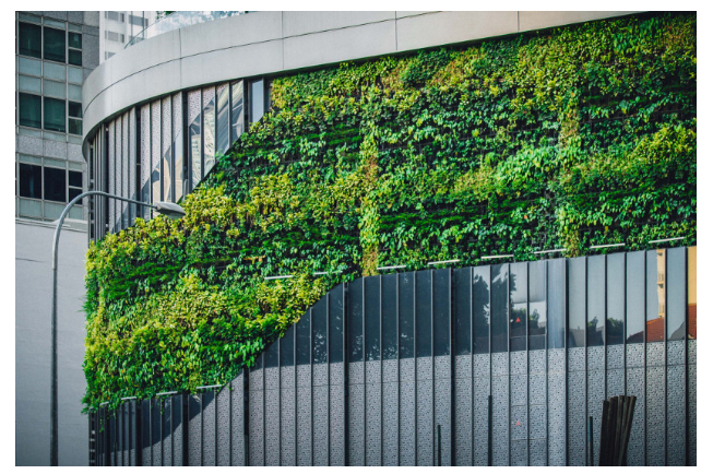 Biophilic Design: Nature’s Blueprint for Sustainable Architecture