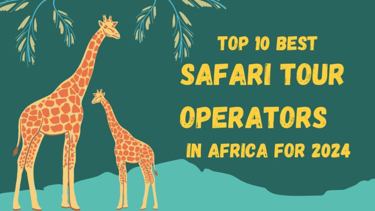 Top 10 Best Safari Tour Operators in Africa – 2024