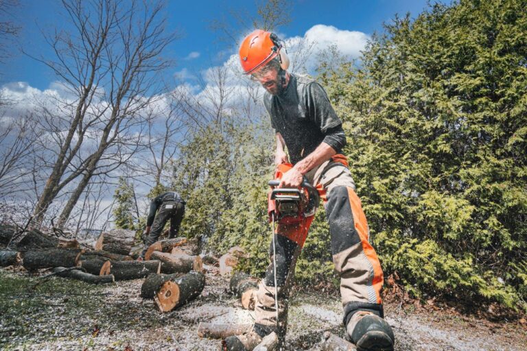 From Logging to Landscaping: The Broad Spectrum of Chainsaw Use