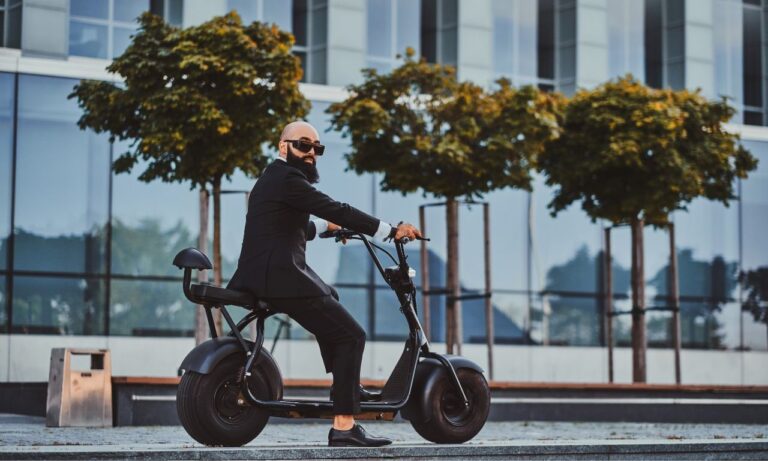 Unveiling Magnificence: Interpreting isinwheel’s U2 and U3 E-bikes