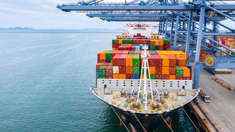 The Best Shipping Companies for Small Businesses in 2024