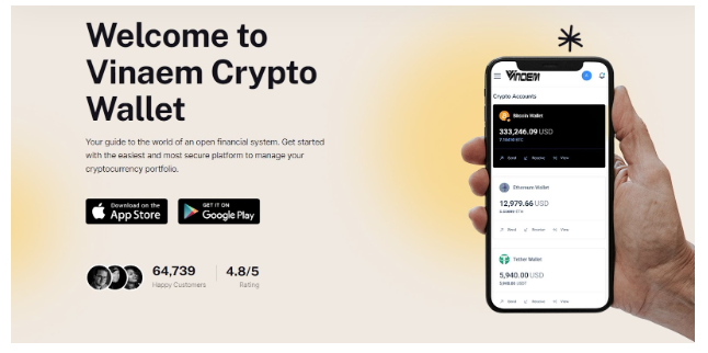 The Importance of Security in Cryptocurrency Transactions: A Look at Vinaem Wallet