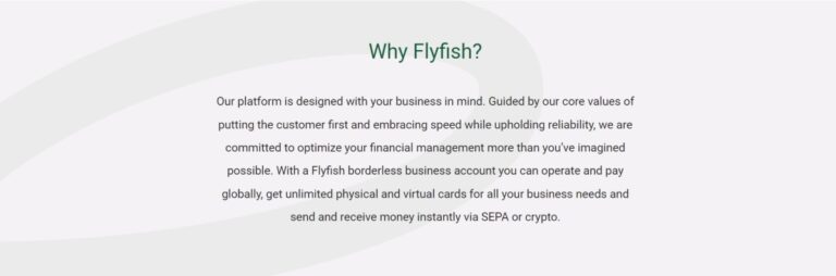 Flyfish Review – Your Response to Corporate Payments and Global Banking Requirements