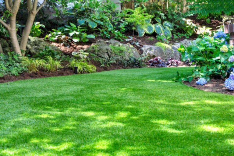 Grasses in Landscaping: Tips for Sustainable Lawn Management