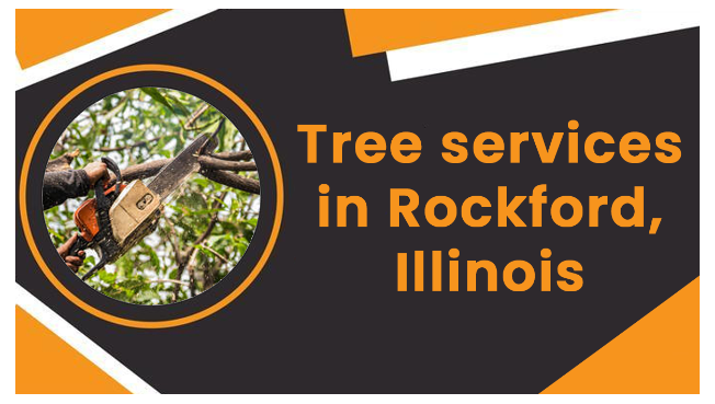 How to find Tree Services in Rockford, Illinois