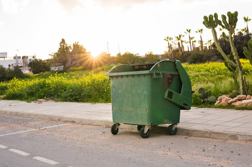 Green on a Budget: Eco-Friendly Skip Bin Hire Options in Campbelltown