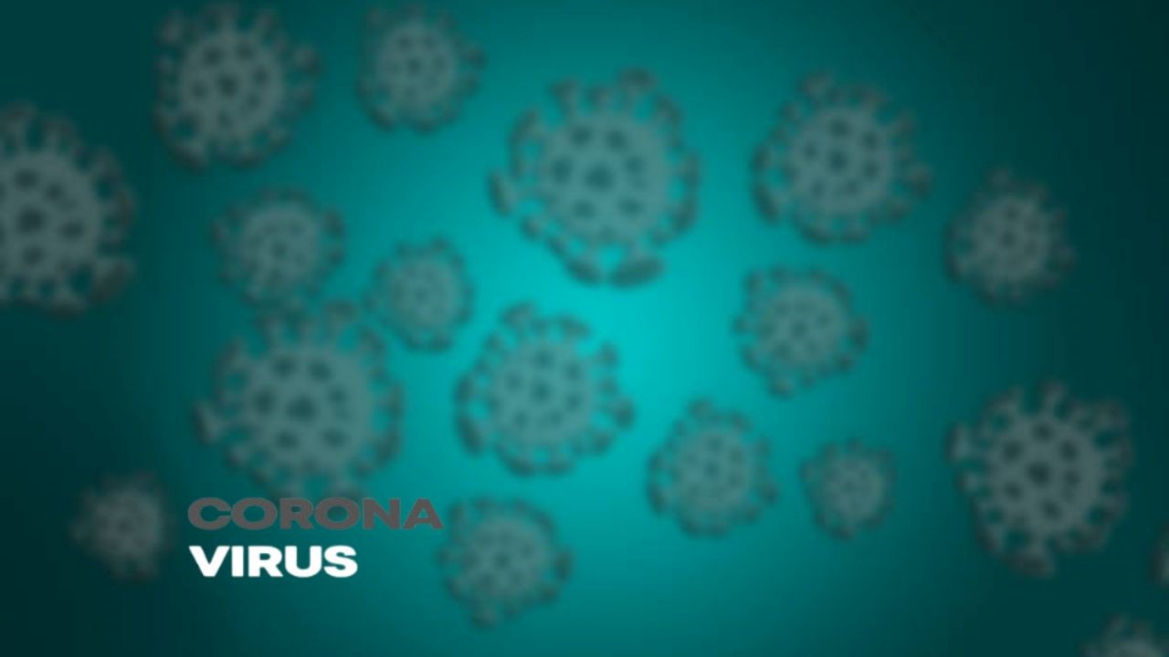 virus