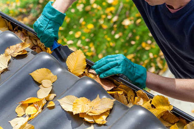 Essential Guide to Gutter Cleaning in Norwalk CT