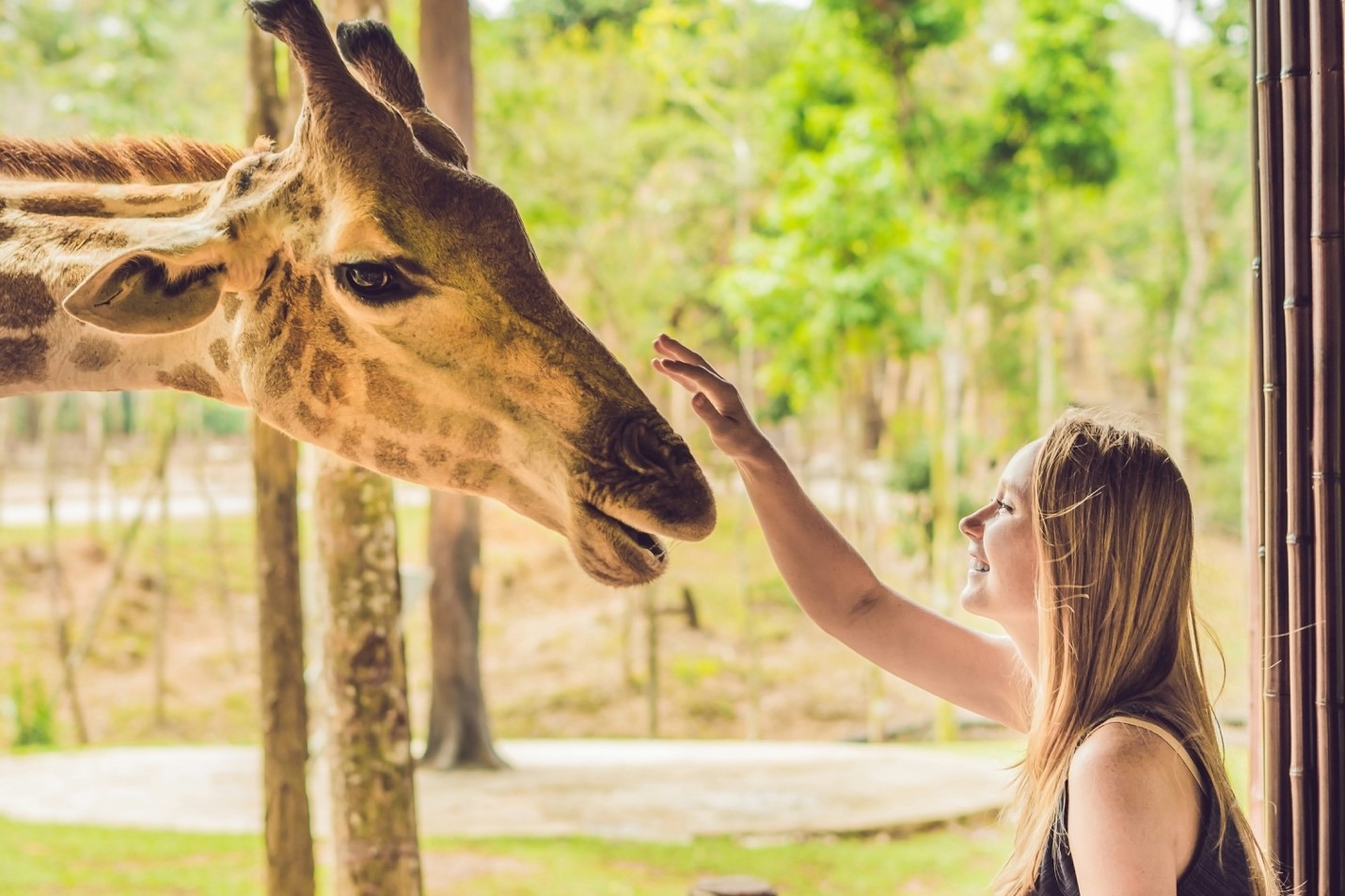 A donation from the Colcom Foundation to the Pittsburgh Zoo & Aquarium continues Cordelia Scaife May’s conservation mission