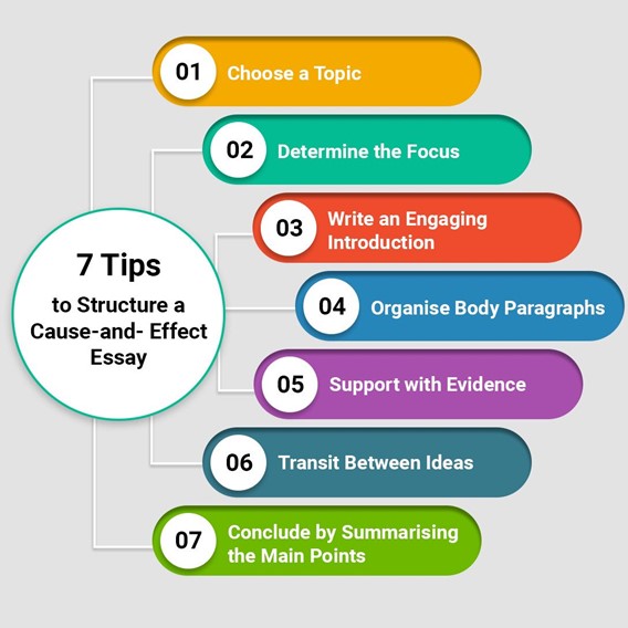 examples of a transition sentence for an essay