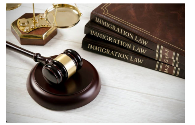 Why Hiring an Expert Immigration Lawyer is Crucial for Your Case