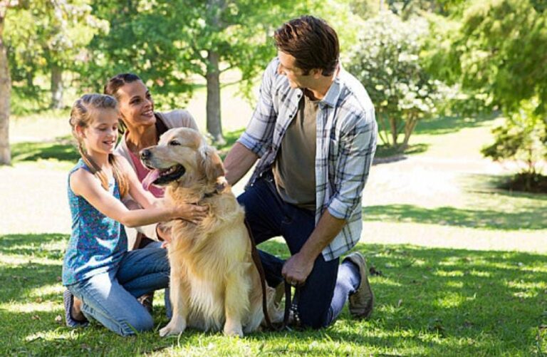 Unleashing the Fun: Progress Residential Lists 4 Things to Look for in Pet-Friendly Rental Communities