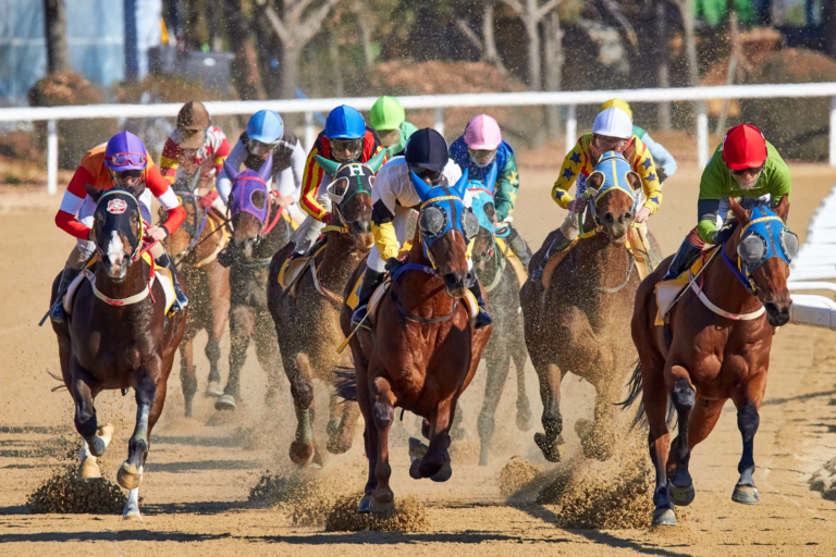 Breeders’ Cup 2024: Championship Races and Their Purses