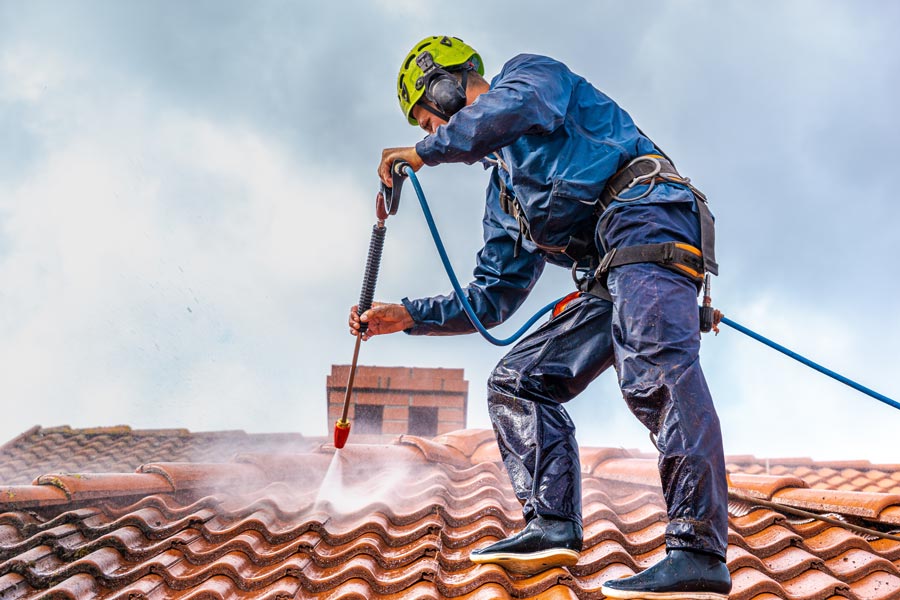 Roof soft washing