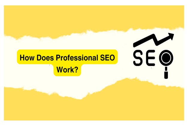 How can search engine optimization help professionals