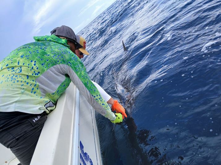 Best Places to Fish for Marlin