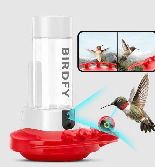 Innovative Best Smart Bird Feeders Transform Birdwatching Experience