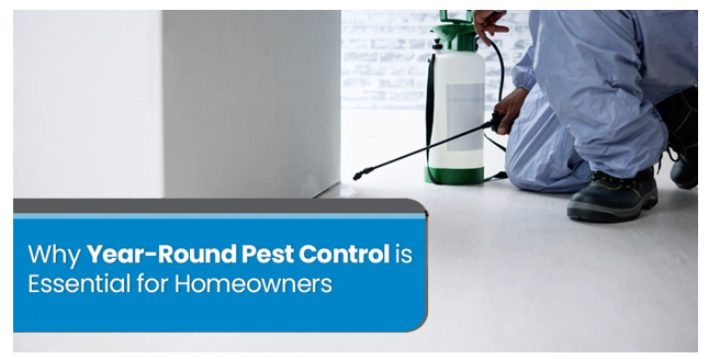 Why Year-Round Pest Control is Essential for Homeowners