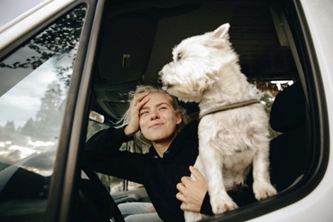 Traveling to Pigeon Forge with Pets: Essential Tips for a Stress-Free Trip