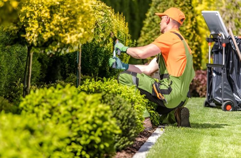 Why Hiring Landscapers in Victoria is the Best Investment for Your Yard?