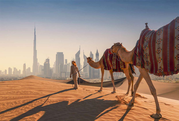 Plan Your Dream Dubai Trip