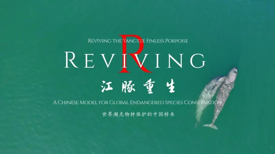 rev