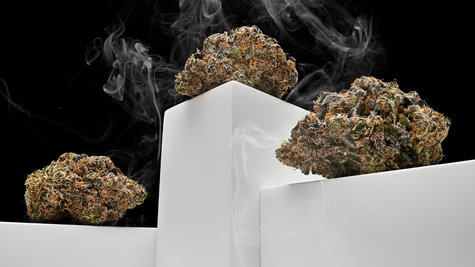 WhatsApp Image 2025 01 15 at 6.59.37 PM