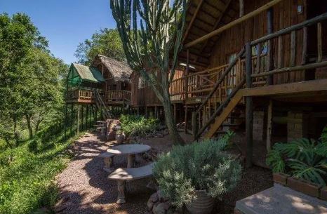 Treehouse River Lodge Announces Upgrades of Riverside Boutique Guesthouse, A Hidden Gem Near Shongweni Farmers Market, After Extensive Renovation