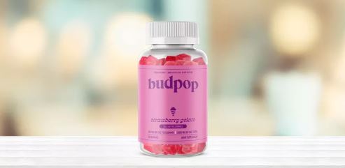 The Growing Popularity of Relaxation Gummies in Today’s Wellness Market