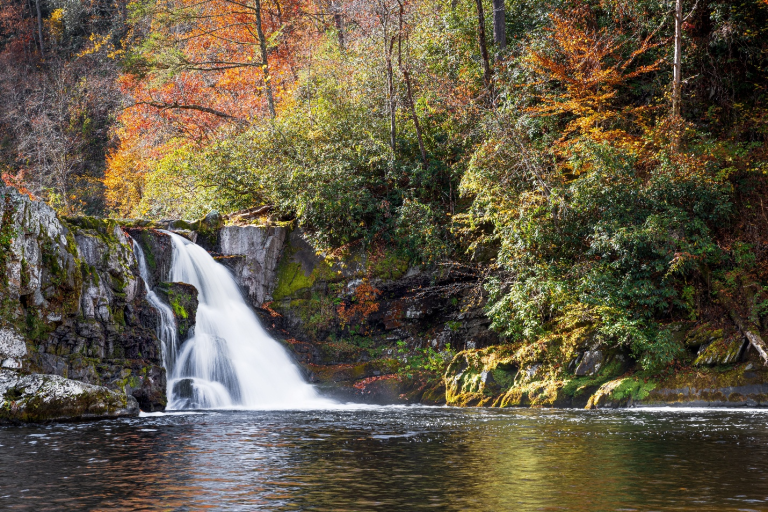 Gatlinburg for First-Timers: What Not to Miss