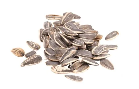 Exploring the Demand for Bulk Raw Sunflower Seeds in Food Production