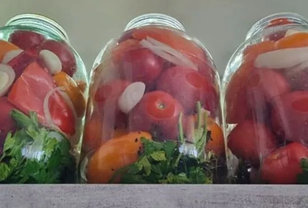 A Comprehensive Guide for Lacto-Fermentation?