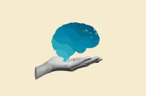 IQ Arena Launches New Web Platform for Brain Training and Certified Online IQ Testing