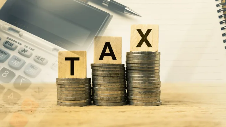 How to Maximise Section 80C Benefits for Tax Saving and Investments