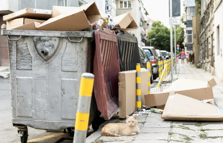 How to Make Your Property Clutter-Free with Junk Removal in Paso Robles