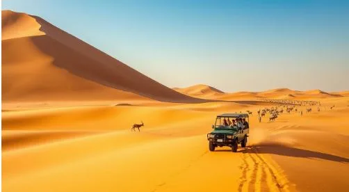 Peace of Mind in the Desert: Booking Your Dubai Safari Through Experts