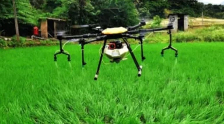 How Cutting-Edge Drone Technology is Transforming Crop Monitoring in India