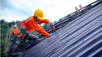 What to Look for in Professional Roof Repair Services