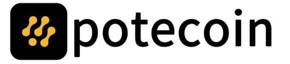 Potecoin to Form Strategic Partnerships with Leading Global Financial Institutions, Accelerating International Expansion in 2025